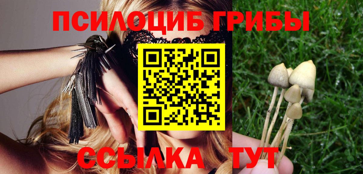 Галлюциногенные грибы Magic Shrooms  Вход с VPN  Псилоцибиновые грибы GOLDEN TEACHER  Егорьевск 